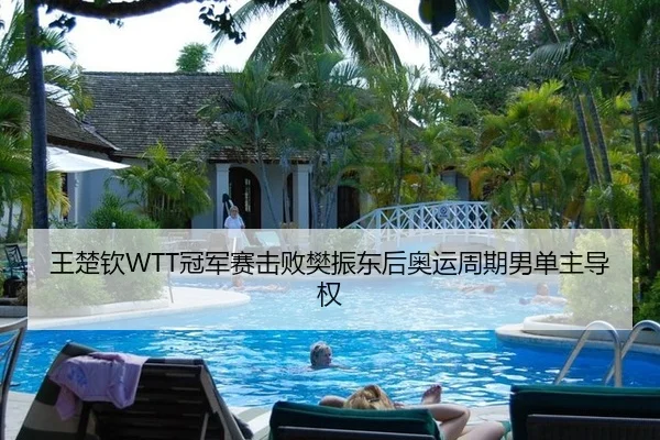 王楚钦WTT冠军赛击败樊振东后奥运周期男单主导权